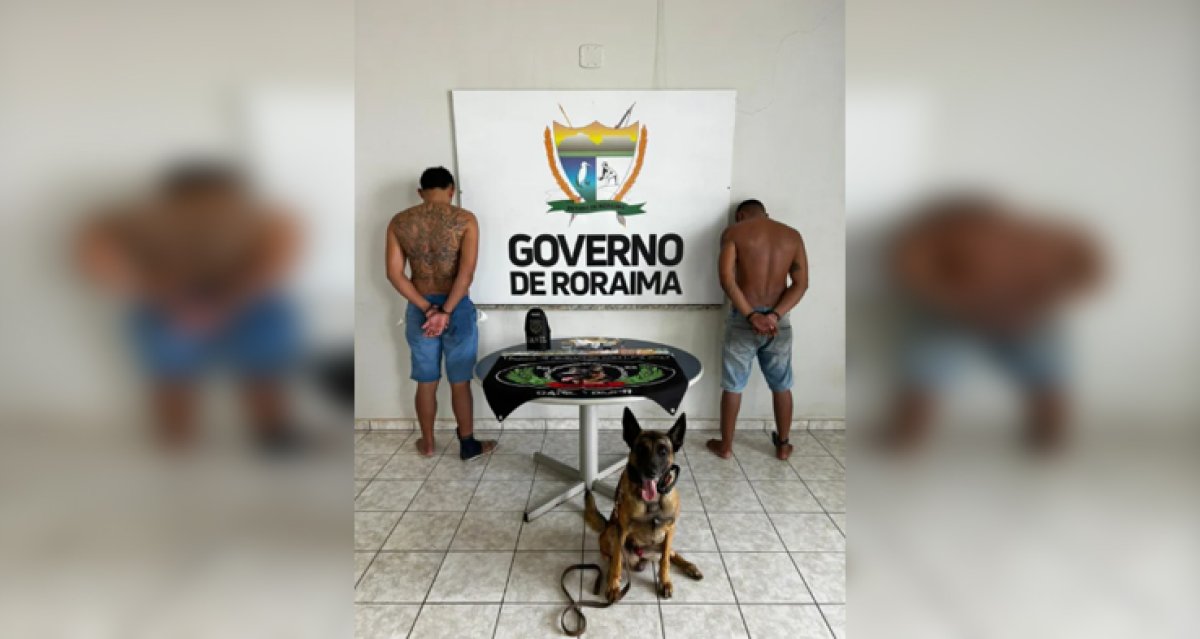 VÍDEO: Cão farejador Draco ajuda a prender dupla com skunk e balanças em tapeçaria no Caimbé