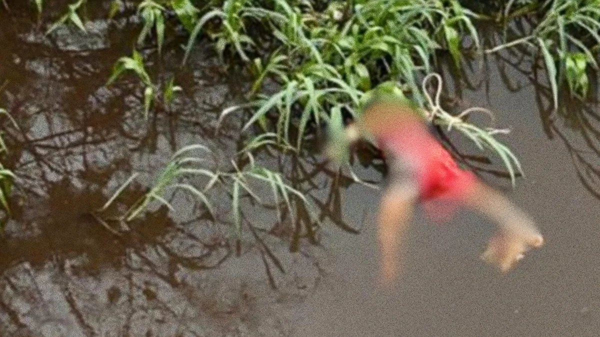 Corpo de mulher é encontrado em igarapé no bairro São Jorge, zona Oeste de Manaus