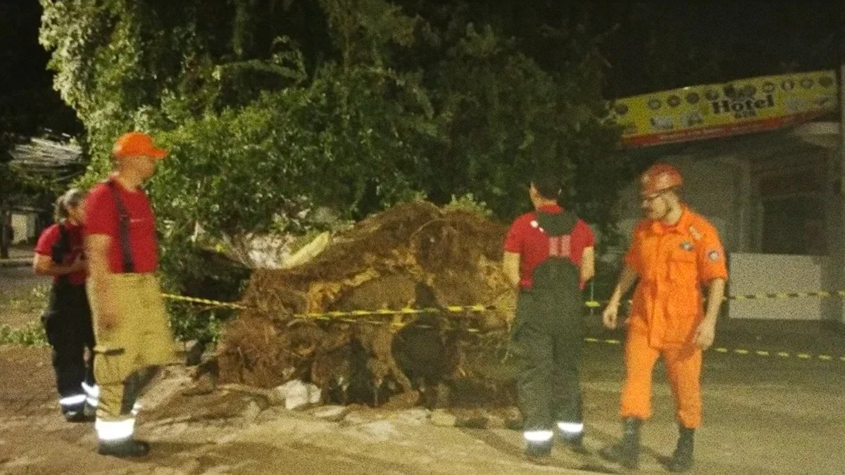 Árvore cai e destrói fachada de pousada na Avenida Getúlio Vargas, em Boa Vista