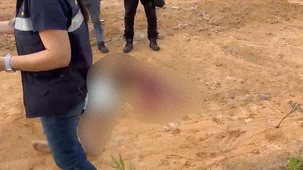 VÍDEO: Corpo é encontrado na zona Norte de Manaus próximo à Reserva Ducke