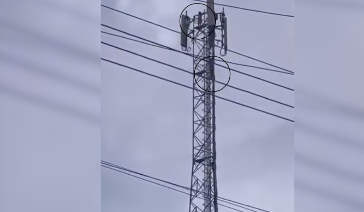 VÍDEO: crianças são flagradas escalando torre de telefonia em Maués, no Amazonas